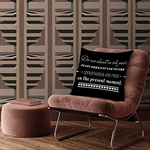 Inspirational Do Not Dwell in The Past Do Not Dream of The Future Concentrate The Mind On The Present Moment Throw Pillows for Couch Black Rustic Cozy Square Pillow for Couch Sofa Bedroom Car Living