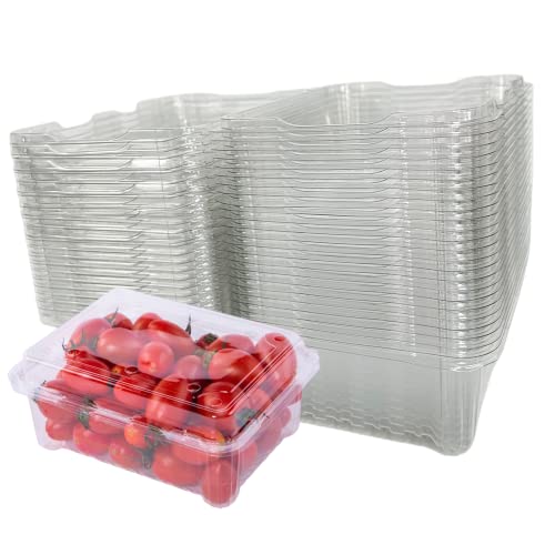 Hewnda 20 Pack Clear Plastic Berry Clamshell Vented Container for blueberry, Cherry Tomatoes