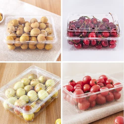 Hewnda 20 Pack Clear Plastic Berry Clamshell Vented Container for blueberry, Cherry Tomatoes