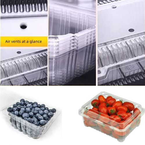 Hewnda 20 Pack Clear Plastic Berry Clamshell Vented Container for blueberry, Cherry Tomatoes