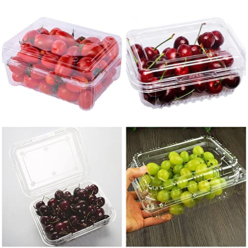 Hewnda 20 Pack Clear Plastic Berry Clamshell Vented Container for blueberry, Cherry Tomatoes