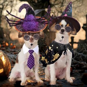 Dog Halloween Costumes for Small Medium Dogs Cats Boy Girls Cute Pumpkin Spider Puppy Hat Glasses Witch Cape Plaid Necktie Pet Halloween Cosplay Clothes Outfits Apparels (hat + Glasses + Cape)