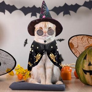 Dog Halloween Costumes for Small Medium Dogs Cats Boy Girls Cute Pumpkin Spider Puppy Hat Glasses Witch Cape Plaid Necktie Pet Halloween Cosplay Clothes Outfits Apparels (hat + Glasses + Cape)