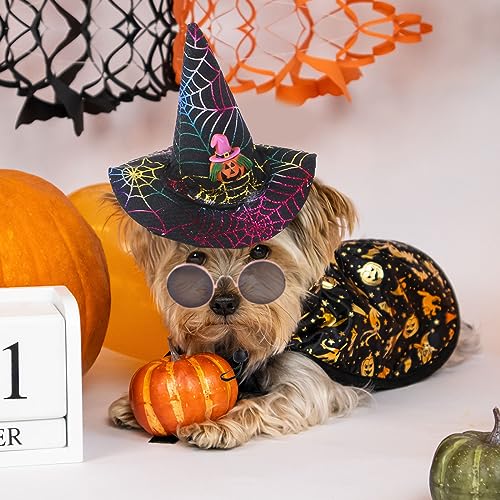 Dog Halloween Costumes for Small Medium Dogs Cats Boy Girls Cute Pumpkin Spider Puppy Hat Glasses Witch Cape Plaid Necktie Pet Halloween Cosplay Clothes Outfits Apparels (hat + Glasses + Cape)