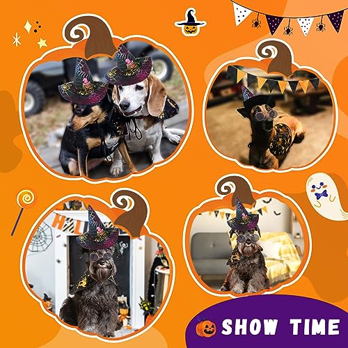 Dog Halloween Costumes for Small Medium Dogs Cats Boy Girls Cute Pumpkin Spider Puppy Hat Glasses Witch Cape Plaid Necktie Pet Halloween Cosplay Clothes Outfits Apparels (hat + Glasses + Cape)