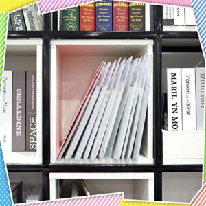 12 Pcs 12 x 12 Paper Storage Organizer Scrapbook Paper Holder Clear Loading Files Plastic Paper Holder with 2 Sheets Clear PVC Customizable Tabs for Scrapbook Paper, Vinyl Paper, Photos