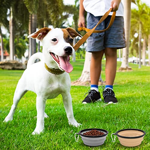 COLLAPSIBLE Dog Cat Bowls 2 Pack Travel Dog Bowls Portable Pet Water Bowl Dog Cat Food Feeder Walking Hiking Camping Bowl for Small Medium Large Dogs (Small, Cool Gray & Light Brown)