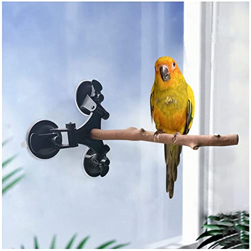 BETYMAO Wood Parrot Perch with Suction Cups Bird Window Perch Bird Bath Perch Bird Training Perch Cockatiel Shower Perch Parakeet Stand Perch Bird Cage Accessories for Home Decoration Short