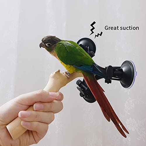 BETYMAO Wood Parrot Perch with Suction Cups Bird Window Perch Bird Bath Perch Bird Training Perch Cockatiel Shower Perch Parakeet Stand Perch Bird Cage Accessories for Home Decoration Short