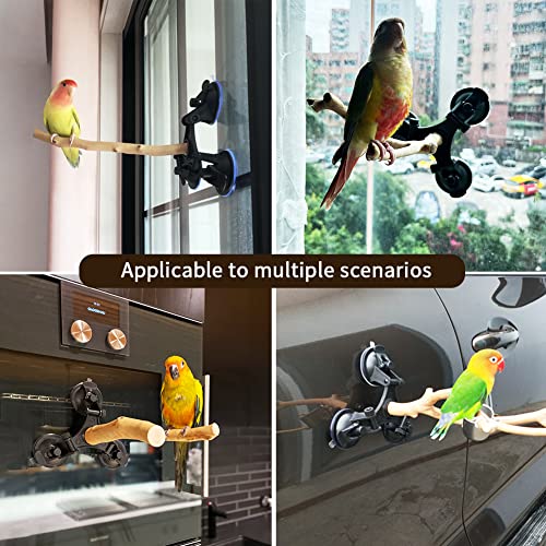 BETYMAO Wood Parrot Perch with Suction Cups Bird Window Perch Bird Bath Perch Bird Training Perch Cockatiel Shower Perch Parakeet Stand Perch Bird Cage Accessories for Home Decoration Short