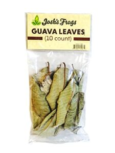 josh's frogs guava leaves aquarium leaf litter (10 count)
