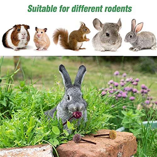 RUNANIA 20 Pcs Rabbit Chew Toys for Teeth, Natural Wood Sticks Timothy Chew Toys for Rabbit Bunny Guinea Pig Hamster Chinchilla