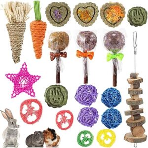 runania 20 pcs rabbit chew toys for teeth, natural wood sticks timothy chew toys for rabbit bunny guinea pig hamster chinchilla