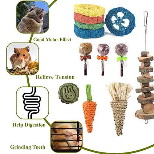 RUNANIA 20 Pcs Rabbit Chew Toys for Teeth, Natural Wood Sticks Timothy Chew Toys for Rabbit Bunny Guinea Pig Hamster Chinchilla