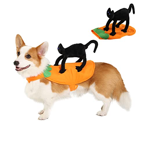 Small Dogs Cats Halloween Costume, Puppy Adjustable Cloths with Black Cat Pumpkin Decoration, Funny Pet Cosplay for Halloween Party, M