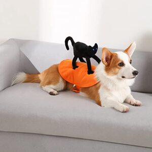 Small Dogs Cats Halloween Costume, Puppy Adjustable Cloths with Black Cat Pumpkin Decoration, Funny Pet Cosplay for Halloween Party, M