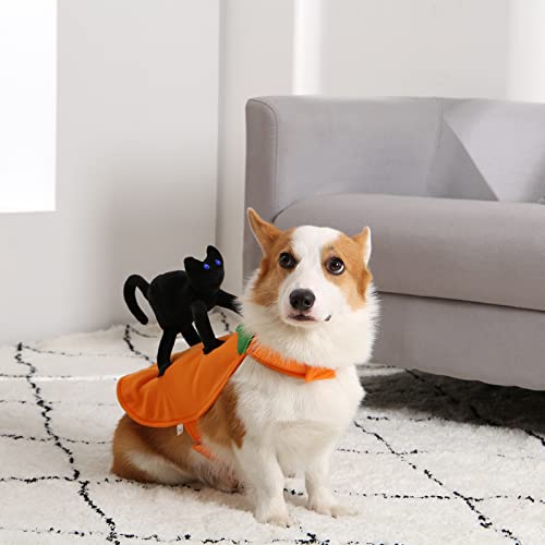 Small Dogs Cats Halloween Costume, Puppy Adjustable Cloths with Black Cat Pumpkin Decoration, Funny Pet Cosplay for Halloween Party, M