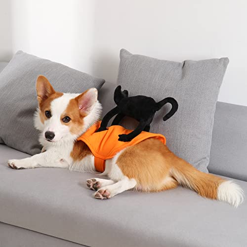 Small Dogs Cats Halloween Costume, Puppy Adjustable Cloths with Black Cat Pumpkin Decoration, Funny Pet Cosplay for Halloween Party, M