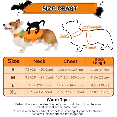 Small Dogs Cats Halloween Costume, Puppy Adjustable Cloths with Black Cat Pumpkin Decoration, Funny Pet Cosplay for Halloween Party, M