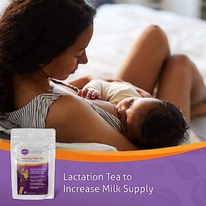 Milkies Nursing Time Lactation Tea to Increase Breast Milk Supply, 60 Servings, Organic and Natural Tea Supplement to Support Breastfeeding After Pregnancy with Fennel, Goat's Rue and Fenugreek-Free