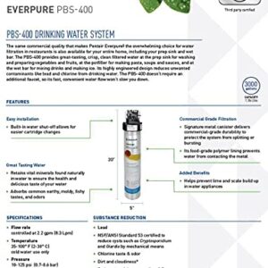 Pentair Everpure PBS-400 Drinking Water System, EV927085, Ideal for use in Prep Sink and Wet Bar, Includes Filter Head, Filter Cartridge, All Hardware and Connectors