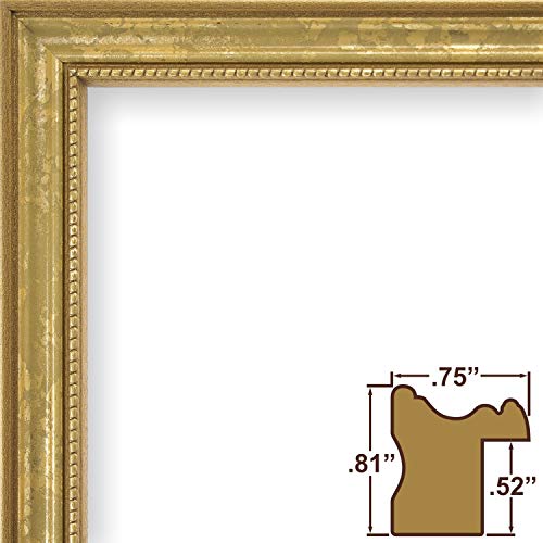 Craig Frames 314GD, Ornate Gold Picture Frame, 12 x 16 Inch