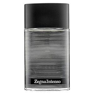 Ermenegildo Zegna Intenso Eau De Toilette Spray for Men, 3.4 Ounce Black