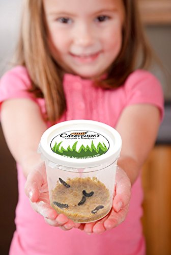 Nature Gift Store 10 Live Caterpillars Shipped Now- Butterfly Kit Refill ONLY