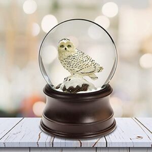 The San Francisco Music Box Company Snowy Owl Snow Globe