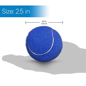 RMS Walker Glide Balls - A Set of 2 Balls with Precut Opening for Easy Installation, Fit Most Walkers (Blue)