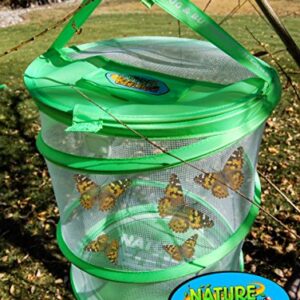 Nature Bound Butterfly Growing Habitat Kit - With Discount Voucher to Redeem Live Caterpillars for Home or School Use - Green Pop-Up Cage 12-Inches Tall - for Boys and Girls Ages 5+