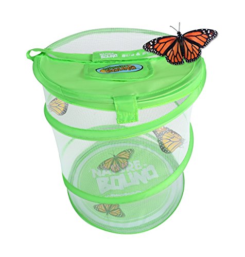 Nature Bound Butterfly Growing Habitat Kit - With Discount Voucher to Redeem Live Caterpillars for Home or School Use - Green Pop-Up Cage 12-Inches Tall - for Boys and Girls Ages 5+