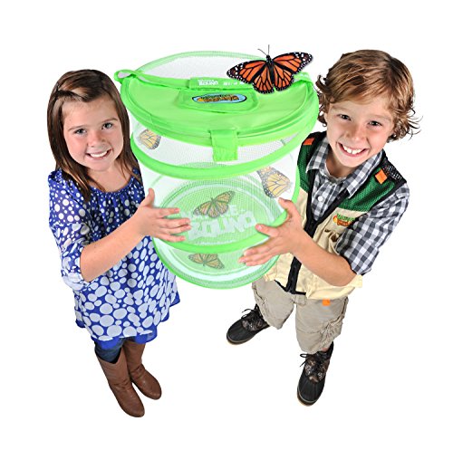 Nature Bound Butterfly Growing Habitat Kit - With Discount Voucher to Redeem Live Caterpillars for Home or School Use - Green Pop-Up Cage 12-Inches Tall - for Boys and Girls Ages 5+