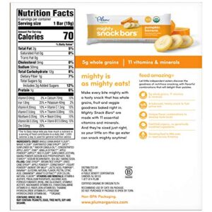 Plum Organics Pumpkin Banana Mighty Bar, 0.67 Oz, 6 Ct