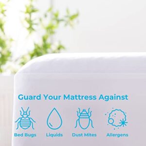 Linenspa Zippered Mattress Encasement - Waterproof & Bed Bug Proof - Premium Noiseless & Absorbent Cover – Queen, White