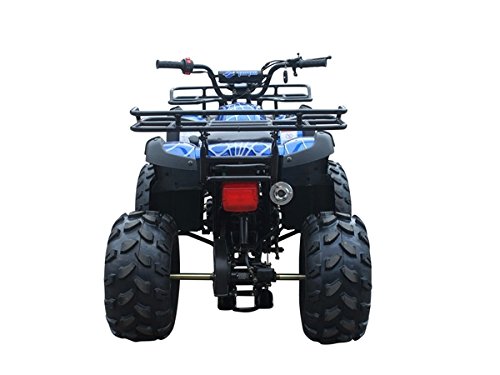 Tao ATV TForce 125cc Big Rugged Wheels and Reverse (Blue)