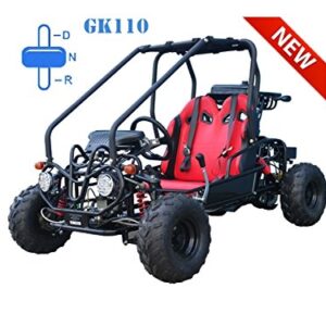 TAO Go kart 110cc with reverse