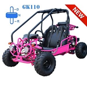 TAO Go kart 110cc with reverse