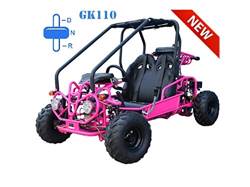 TAO Go kart 110cc with reverse