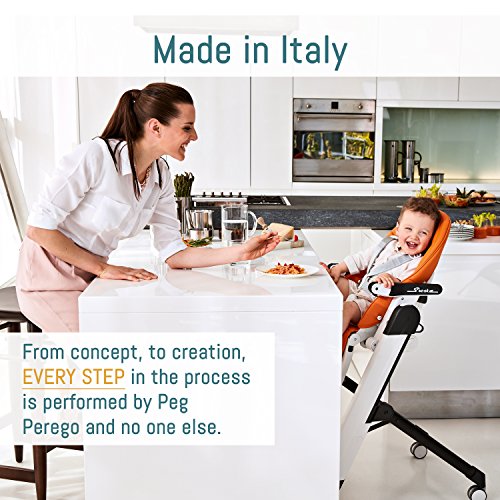 Peg Perego Siesta – Multifunctional Compact Folding High Chair – From Birth to Toddler – Recliner and High Chair – Made in Italy – Ice (Grey)