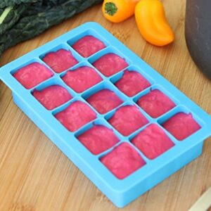 green sprouts Fresh Baby Food Freezer Tray | Perfectly portioned for baby's first feedings | Clear lid for covering food & stacking trays, Flexible for easy removal, Dishwasher safe, Aqua