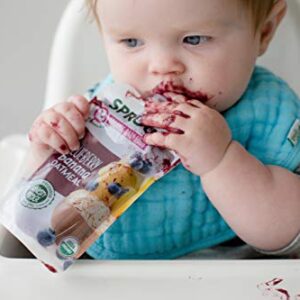 Sprout Organic Baby Food, Stage 2 Pouches, Fruit Veggie & Grain Blend, Blueberry Banana Oatmeal, 3.5 Oz Purees (Pack of 6)