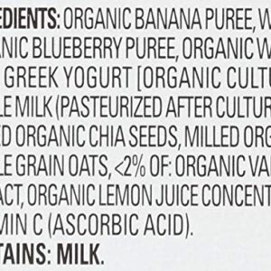 HAPPY TOT BABY Organic Banana Blueberry Yogurt & oats Super Morning, 4 OZ