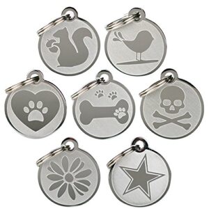 GoTags Playful, Custom Engraved Pet ID Tags, Solid Stainless Steel, Personalized Dog and Cat Pet ID with up to 4 Lines of Text, Cute, Durable and Long-Lasting