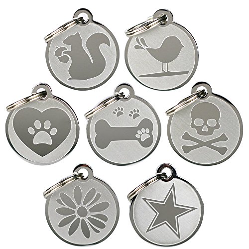 GoTags Playful, Custom Engraved Pet ID Tags, Solid Stainless Steel, Personalized Dog and Cat Pet ID with up to 4 Lines of Text, Cute, Durable and Long-Lasting