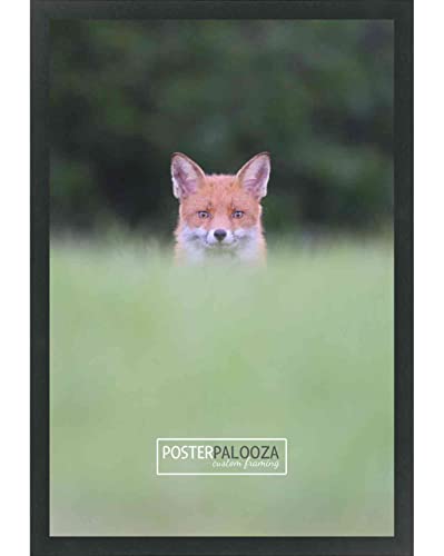 Poster Palooza 14x24 Frame Black Modern Solid Wood Picture Frame | UV Acrylic Plexiglass, Foam Board Backing & Hanging Hardware Included