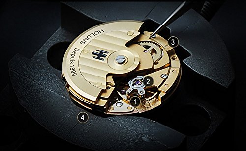 HOLUNS Mens Full Gold Watch Automatic Mechanical Gilded Steel Self-Wind Sapphire Glass Dress Waterproof Watch (Gold)