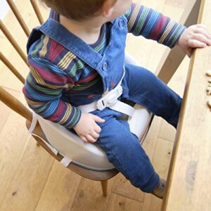 Prince Lionheart Squish Booster Seat, Gray, 3-Point Harness Dual-Strap System, Easy to Wipe Clean, Lightweight