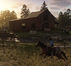 Red Dead Redemption 2 (PS4)