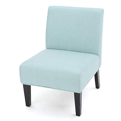 Christopher Knight Home Kassi Fabric Accent Chair, Light Blue